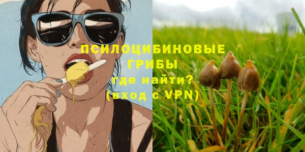 ПСИЛОЦИБИНОВЫЕ ГРИБЫ Семилуки