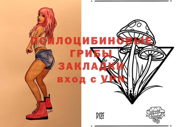 ПСИЛОЦИБИНОВЫЕ ГРИБЫ Семилуки