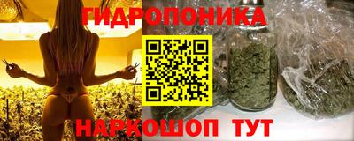 ECSTASY Канаш