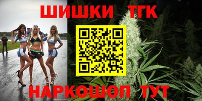 Альфа ПВП Камышлов