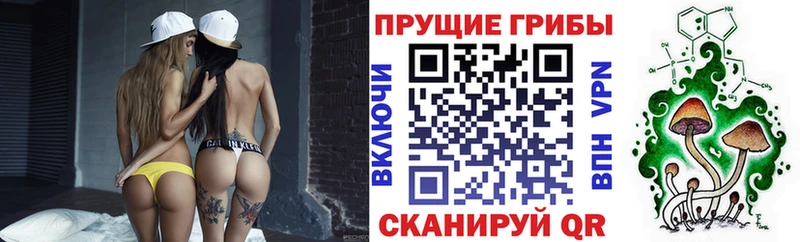 Галлюциногенные грибы мухоморы  Северобайкальск 