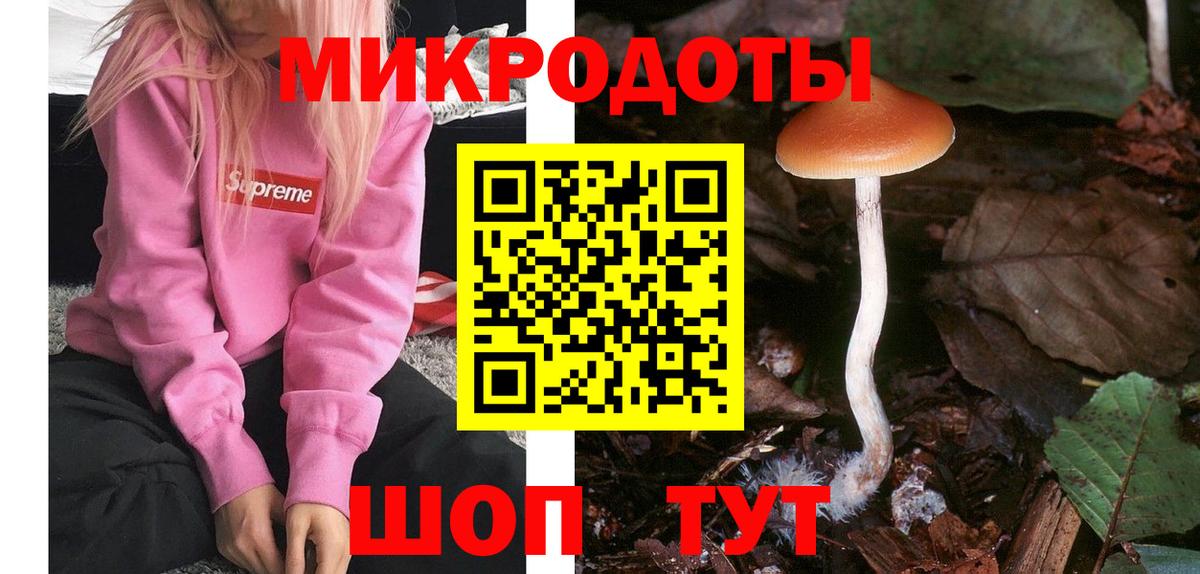 Северобайкальск  Псилоцибиновые грибы Psilocybine cubensis  Псилоцибиновые грибы прущие грибы  Вход с VPN 
